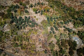 پاییزِ هزاررنگ در روستای شیت - طارم