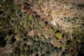 پاییزِ هزاررنگ در روستای شیت - طارم