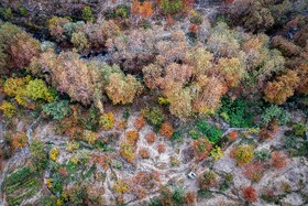 پاییزِ هزاررنگ در روستای شیت - طارم