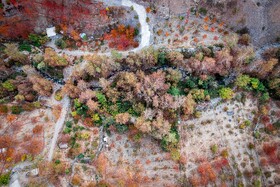 پاییزِ هزاررنگ در روستای شیت - طارم