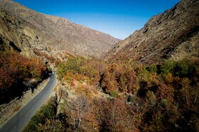 پاییزِ هزاررنگ در روستای شیت - طارم