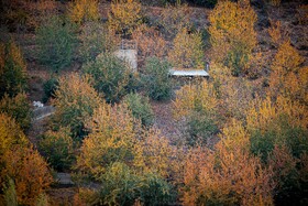 پاییزِ هزاررنگ در روستای شیت - طارم