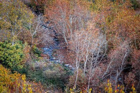 پاییزِ هزاررنگ در روستای شیت - طارم