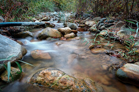 پاییزِ هزاررنگ در روستای شیت - طارم