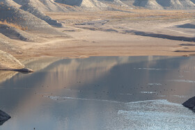 سد ارداک - مشهد