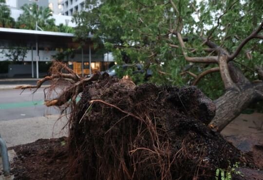 عکس: گاردین طوفان در استرالیا برق بیش از ۱۹ هزار مشترک را قطع کرد