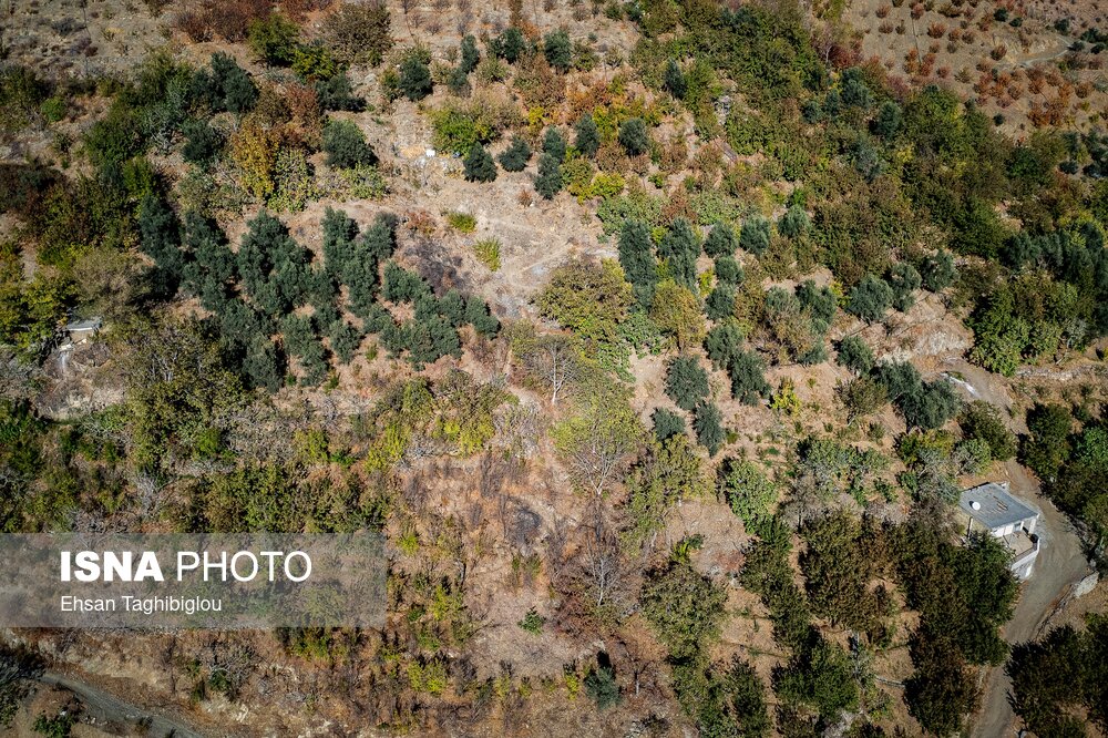 پاییزِ هزاررنگ در روستای شیت - طارم
