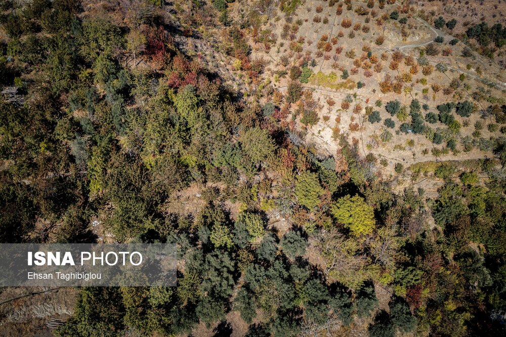 پاییزِ هزاررنگ در روستای شیت - طارم