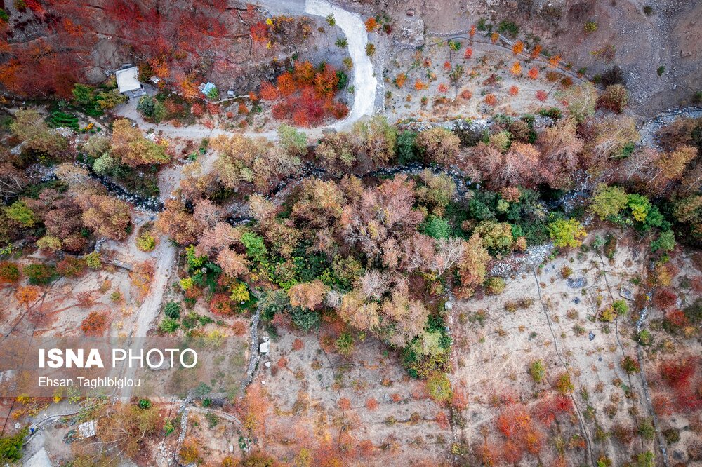 پاییزِ هزاررنگ در روستای شیت - طارم