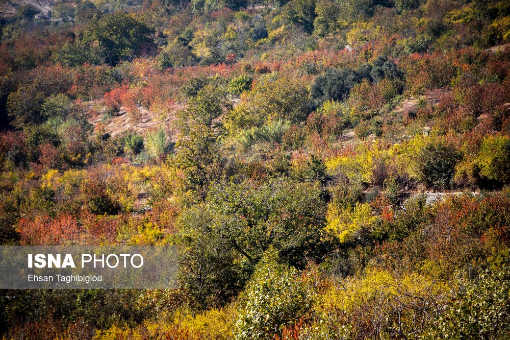 پاییزِ هزاررنگ در روستای شیت - طارم