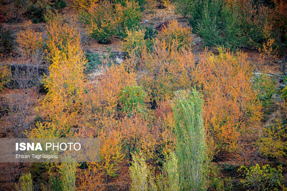 پاییزِ هزاررنگ در روستای شیت - طارم