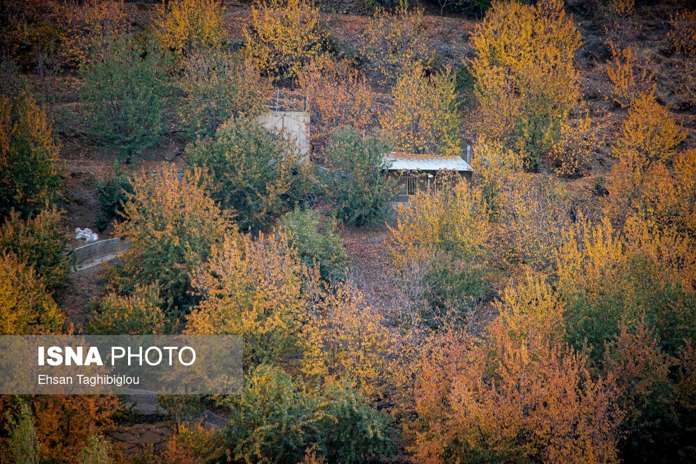 پاییزِ هزاررنگ در روستای شیت - طارم