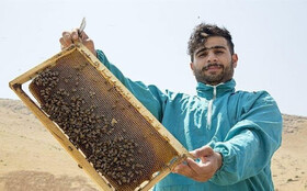 راه ماندگاری جوانان در روستا