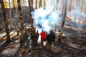 آتش، طبیعت و جرقه انسانی؛ چرخه تکرارشونده آتش‌سوزی جنگل‌ها از زاگرس تا ارسباران