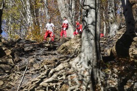 افزایش گشت‌ها با بالا رفتن احتمال وقوع حریق در جنگل های هیرکانی