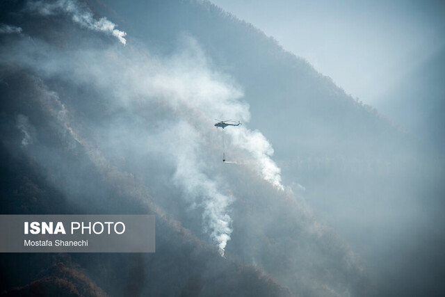 فرماندار چالوس: رصد شبانهروزی جنگل الیت تا خاموشی کامل ادامه دارد