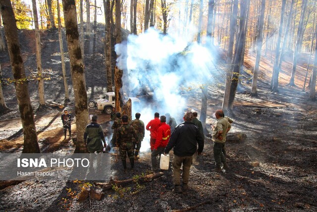 آتش، طبیعت و جرقه انسانی؛ چرخه تکرارشونده آتش‌سوزی جنگل‌ها از زاگرس تا ارسباران