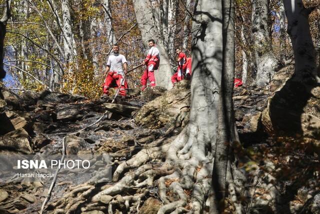 افزایش گشت‌ها با بالا رفتن احتمال وقوع حریق در جنگل های هیرکانی