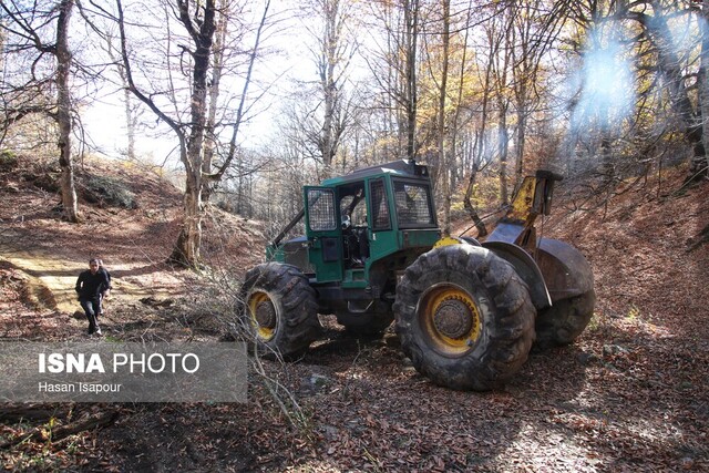 جلوی گسترش آتش در سوادکوه گرفته شد