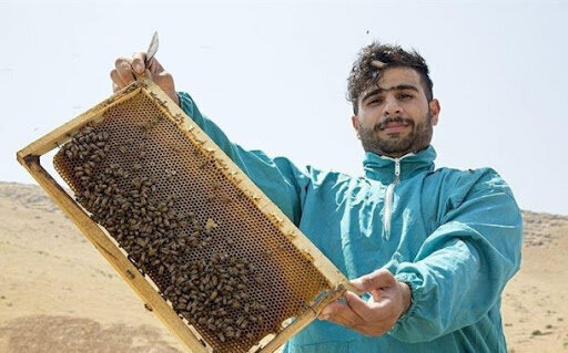 اگر امکان کشاورزی نیست، خوداشتغالی کنید