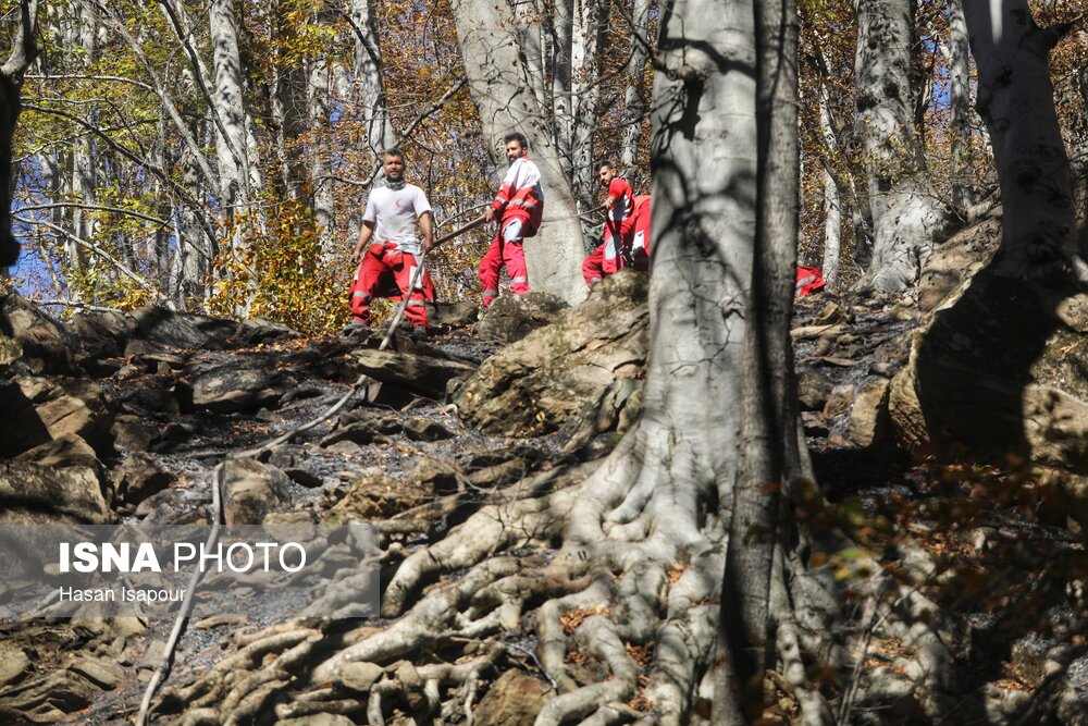 افزایش گشت‌ها با بالا رفتن احتمال وقوع حریق در جنگل های هیرکانی