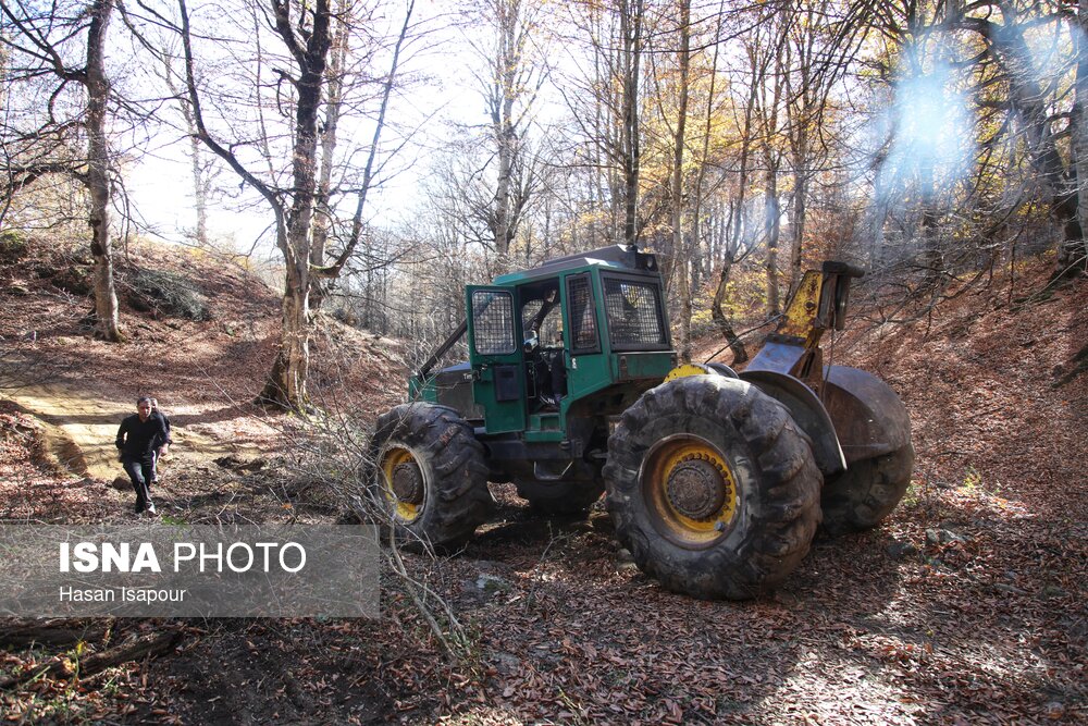 واکنش سریع حفاظت منابع طبیعی سوادکوه از آتش‌سوزی گسترده جلوگیری کرد