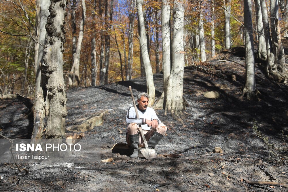 پایان آتش سوزی در گلستان/ گروه های پایش همچنان حاضر در منطقه