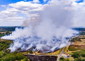 خسارات بی سابقه آتش‌سوزی‌های جنگلیِ بریتانیا در ۲۰۲۵