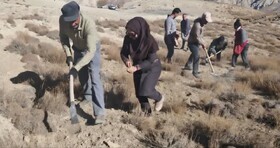 پویش کویر سبز در ۱۰۰۰ هکتار از اراضی استان سمنان