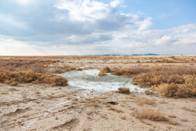 زمین‌های شهرستان میان‌جلگه این روزها با آلودگی گسترده ناشی از انباشت نخاله، خاک‌های باطله و پسماندهای صنعتی رهاشده در محدوده شهرک صنعتی عطار نیشابور مواجه هستند.