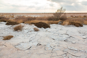 در شهرک صنعتی عطار نیشابور، کارخانه کاغذ پسمانده‌های خود را در زمین‌های اطراف تخلیه می‌کند، امری که موجب آلودگی گسترده خاک و تهدید محیط زیست شده است.