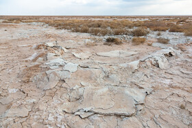در شهرک صنعتی عطار نیشابور، کارخانه کاغذ پسمانده‌های خود را در زمین‌های اطراف تخلیه می‌کند، امری که موجب آلودگی گسترده خاک و تهدید محیط زیست شده است.