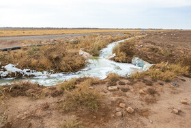 آبیاری برخی زمین‌های کشاورزی شهرستان میان‌جلگه با فاضلاب نگرانی‌ها درباره سلامت خاک، منابع آب و محصولات کشاورزی را تشدید کرده است