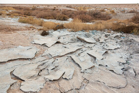 خاک سالم پایه امنیت غذایی و سلامت جامعه است