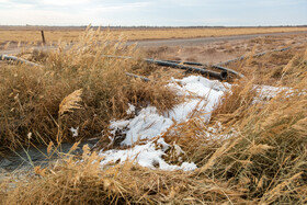 آبیاری برخی زمین‌های کشاورزی شهرستان میان‌جلگه با فاضلاب نگرانی‌ها درباره سلامت خاک، منابع آب و محصولات کشاورزی را تشدید کرده است