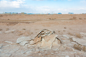 در شهرک صنعتی عطار نیشابور، کارخانه کاغذ پسمانده‌های خود را در زمین‌های اطراف تخلیه می‌کند، امری که موجب آلودگی گسترده خاک و تهدید محیط زیست شده است.