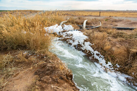آبیاری برخی زمین‌های کشاورزی شهرستان میان‌جلگه با فاضلاب نگرانی‌ها درباره سلامت خاک، منابع آب و محصولات کشاورزی را تشدید کرده است