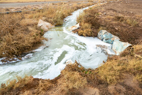 آبیاری برخی زمین‌های کشاورزی شهرستان میان‌جلگه با فاضلاب نگرانی‌ها درباره سلامت خاک، منابع آب و محصولات کشاورزی را تشدید کرده است