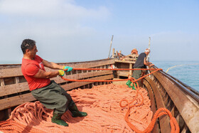 تور ریزی در دریا - کیاشهر