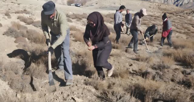 پویش کویر سبز در ۱۰۰۰ هکتار از اراضی استان سمنان