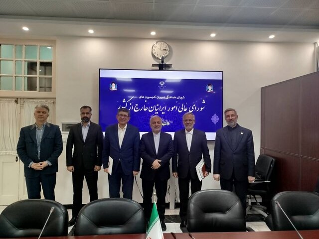 آخرین وضعیت اجرای قانون حمایت از ایرانیان خارج از کشور از زبان معاون عراقچی