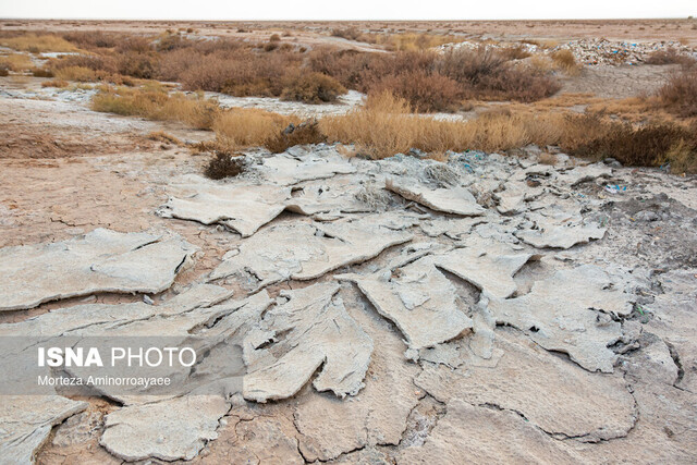 خاک سالم پایه امنیت غذایی و سلامت جامعه است