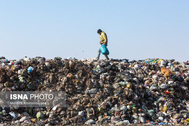 عکس «منتخب هفته»
