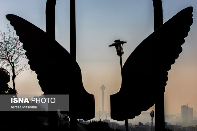 مداخلاتی که نتایجشان خسارت است