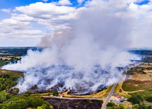 خسارات بی سابقه آتشسوزیهای جنگلیِ بریتانیا در ۲۰۲۵