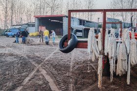بخشی از تور های پره در دریا هنگام برخورد با موانع پاره می شوند، برخی از صیادان وظیفه ترمیم این تور را دارند