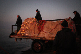 صید شبانه در کیاشهر