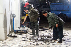 وزن کردن ماهی ها پس از هر صید