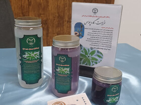 انقلابی در مقابله با سرمازدگی درختان با تایید اثربخشی محصول جهاددانشگاهی سمنان تا منفی ۱۰ درجه