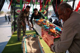 آیین استقبال و بزرگداشت شهدای گمنام در شهرستان تنگستان - شهر آباد